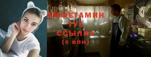 ешки Алексин