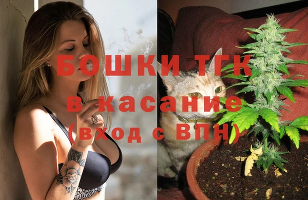 ешки Алексин