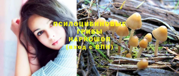 ешки Алексин