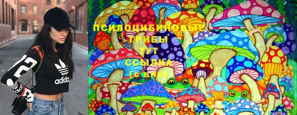 герыч Алзамай
