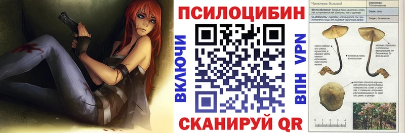 Псилоцибиновые грибы Cubensis  Кремёнки 